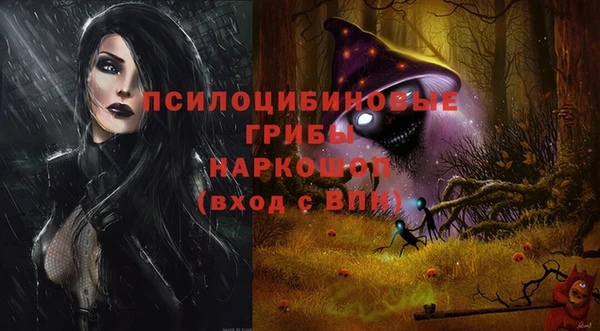 спайс Абаза