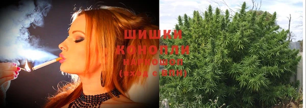 спайс Абаза