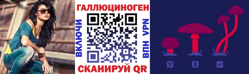 Псилоцибиновые грибы Psilocybe  дарнет шоп  Краснодар 